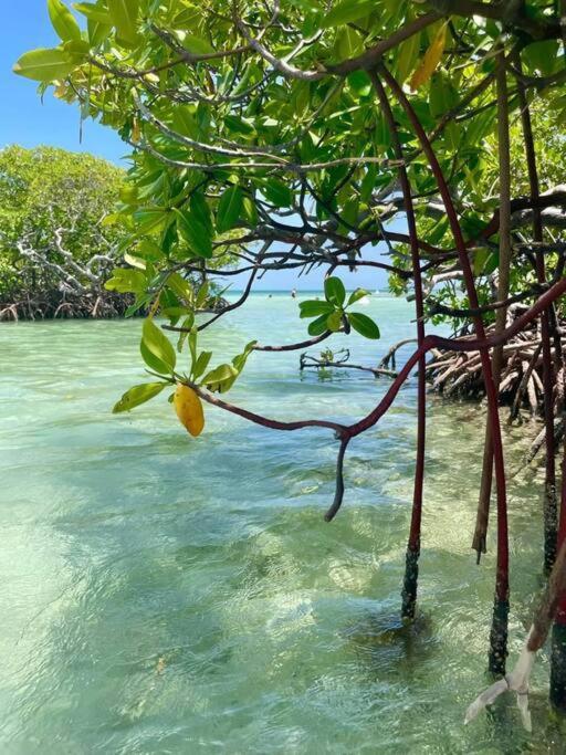 Les Pieds Dans L'Eau Chez Syl Apartman Le Moule Kültér fotó