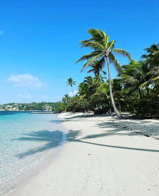 Les Pieds Dans L'Eau Chez Syl Apartman Le Moule Kültér fotó