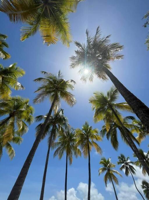 Les Pieds Dans L'Eau Chez Syl Apartman Le Moule Kültér fotó