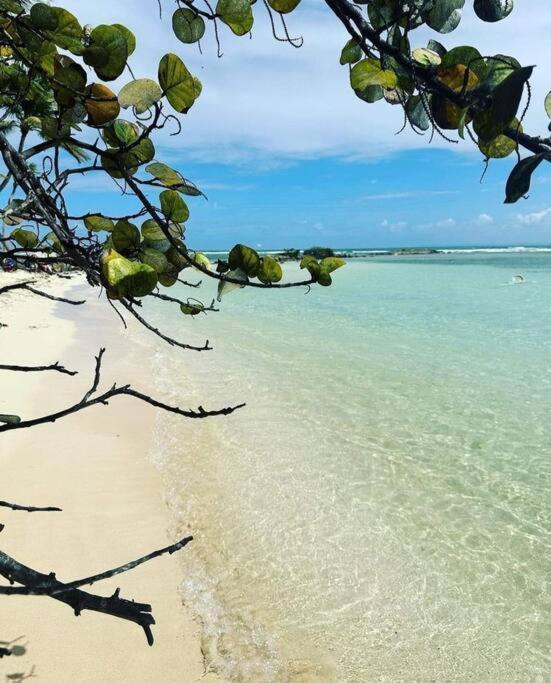 Les Pieds Dans L'Eau Chez Syl Apartman Le Moule Kültér fotó